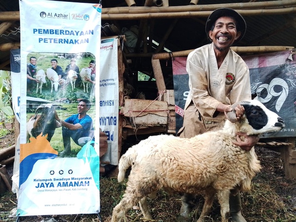 Wakaf Produktif Peternakan Domba